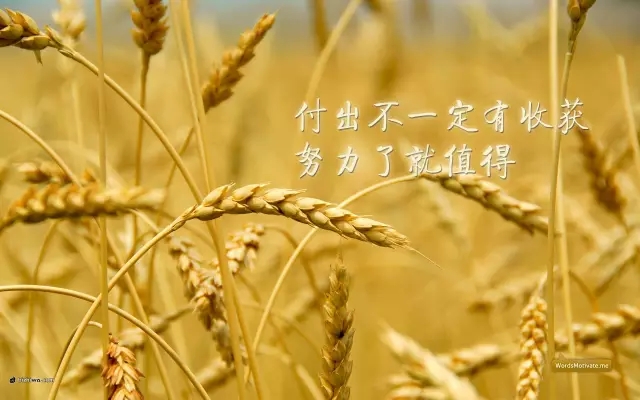 你的2016年,已经余额不足