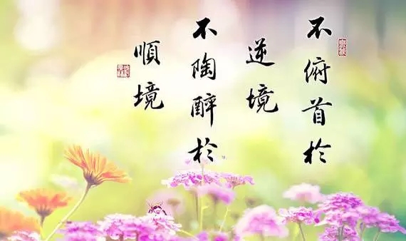 你的2016年,已经余额不足