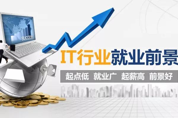 为什么很多大学应届毕业生纷纷选择进入IT行业?